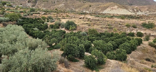 Ubebygd land til salgs i Almería by - € 45 000 (Ref: 9987870)