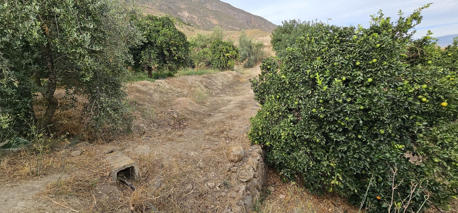 Ubebygd land til salgs i Almeria by - € 45 000 (Ref: 9987870)