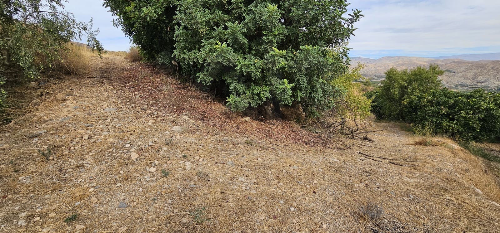 Ubebygd land til salgs i Almeria by - € 45 000 (Ref: 9987870)