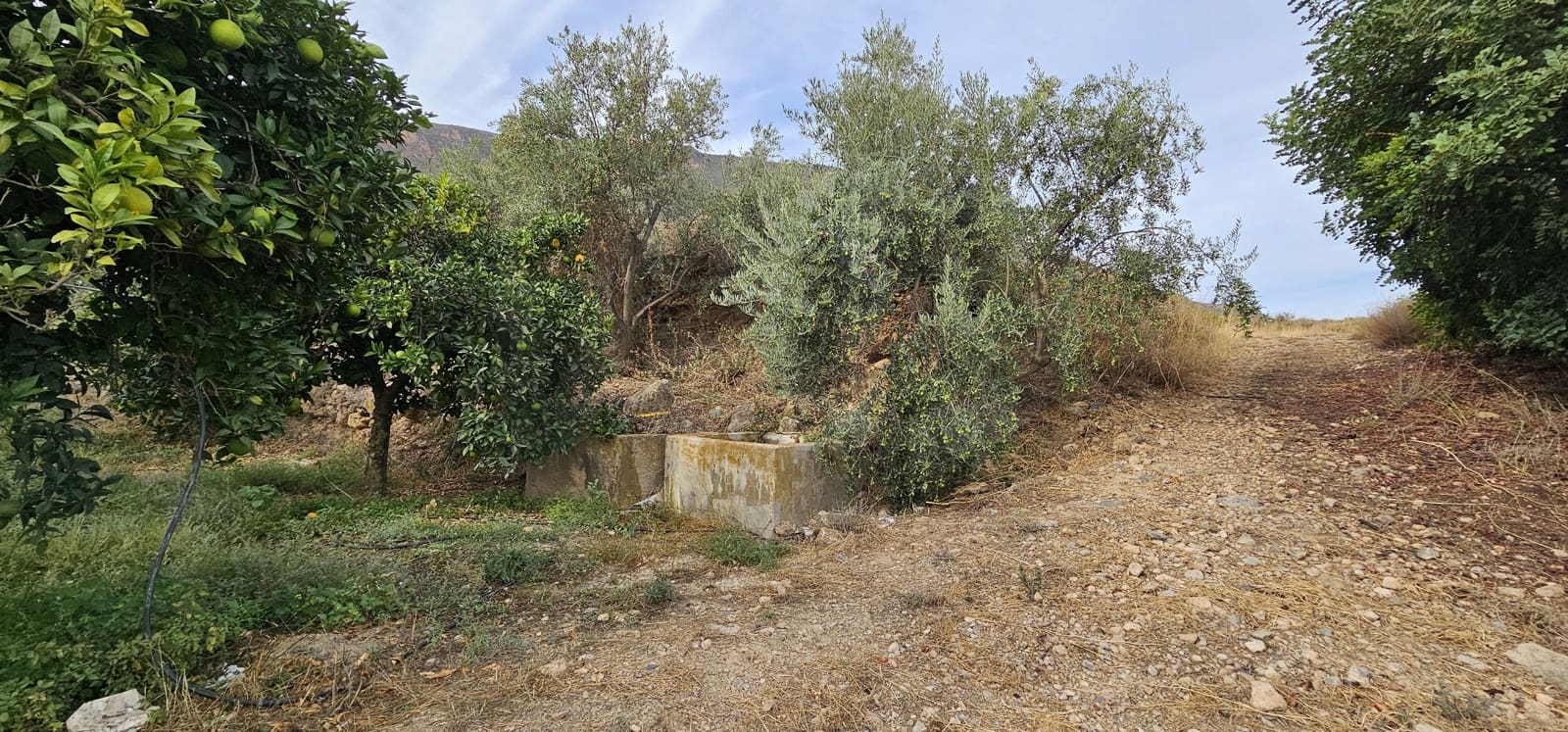 Ubebygd land til salgs i Almeria by - € 45 000 (Ref: 9987870)