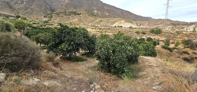 Ubebygd land til salgs i Almería by - € 45 000 (Ref: 9987870)