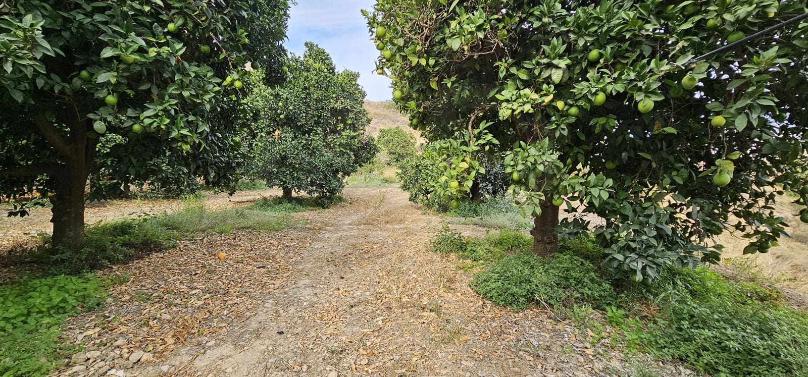 Ubebygd land til salgs i Almeria by - € 45 000 (Ref: 9987870)