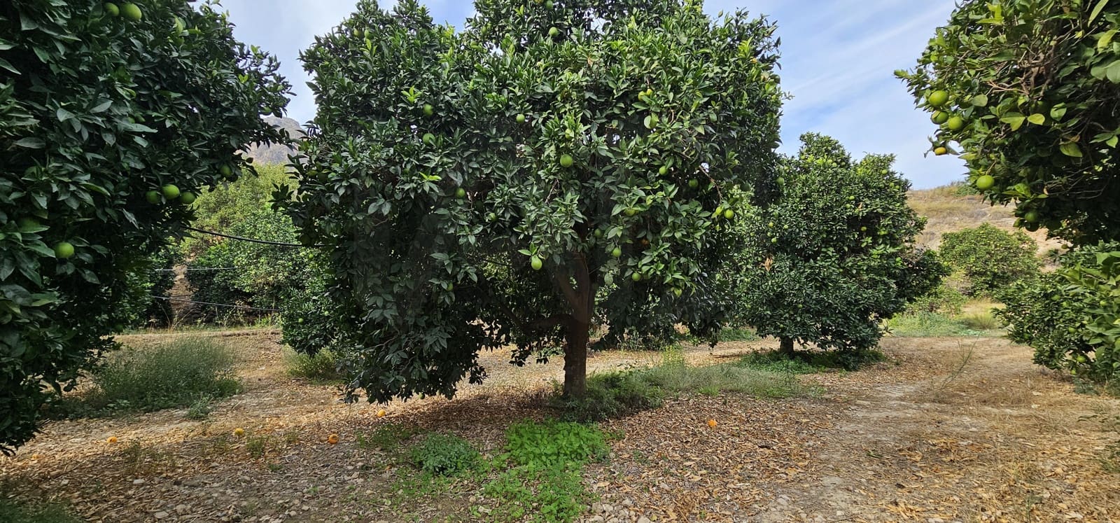 Ubebygd land til salgs i Almeria by - € 45 000 (Ref: 9987870)