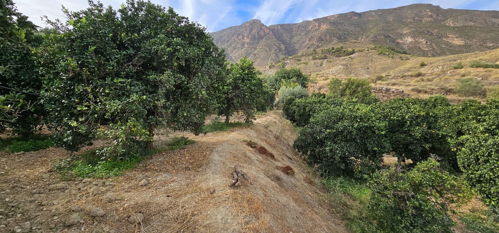 Ubebygd land til salgs i Almeria by - € 45 000 (Ref: 9987870)