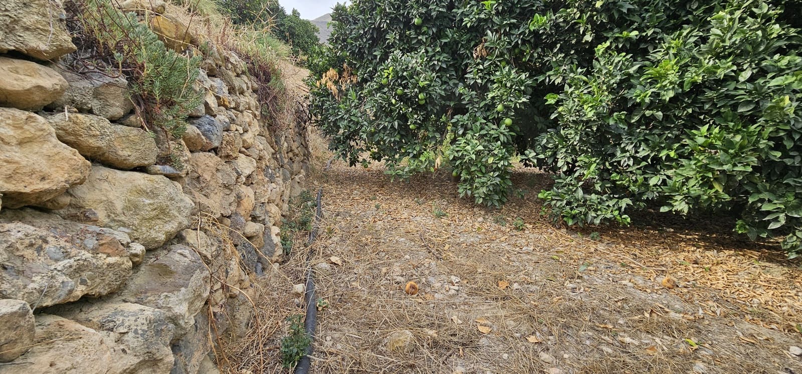 Ubebygd land til salgs i Almeria by - € 45 000 (Ref: 9987870)