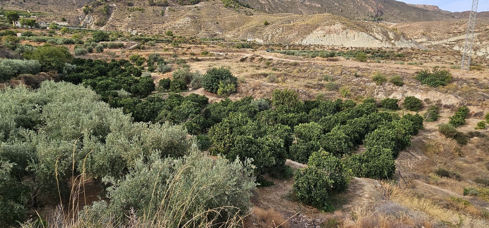 Ubebygd land til salgs i Almeria by - € 45 000 (Ref: 9987870)