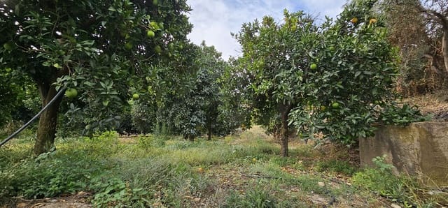 Terreno Non Edificato in vendita in Illar - 45.000 € (Rif: 9987870)
