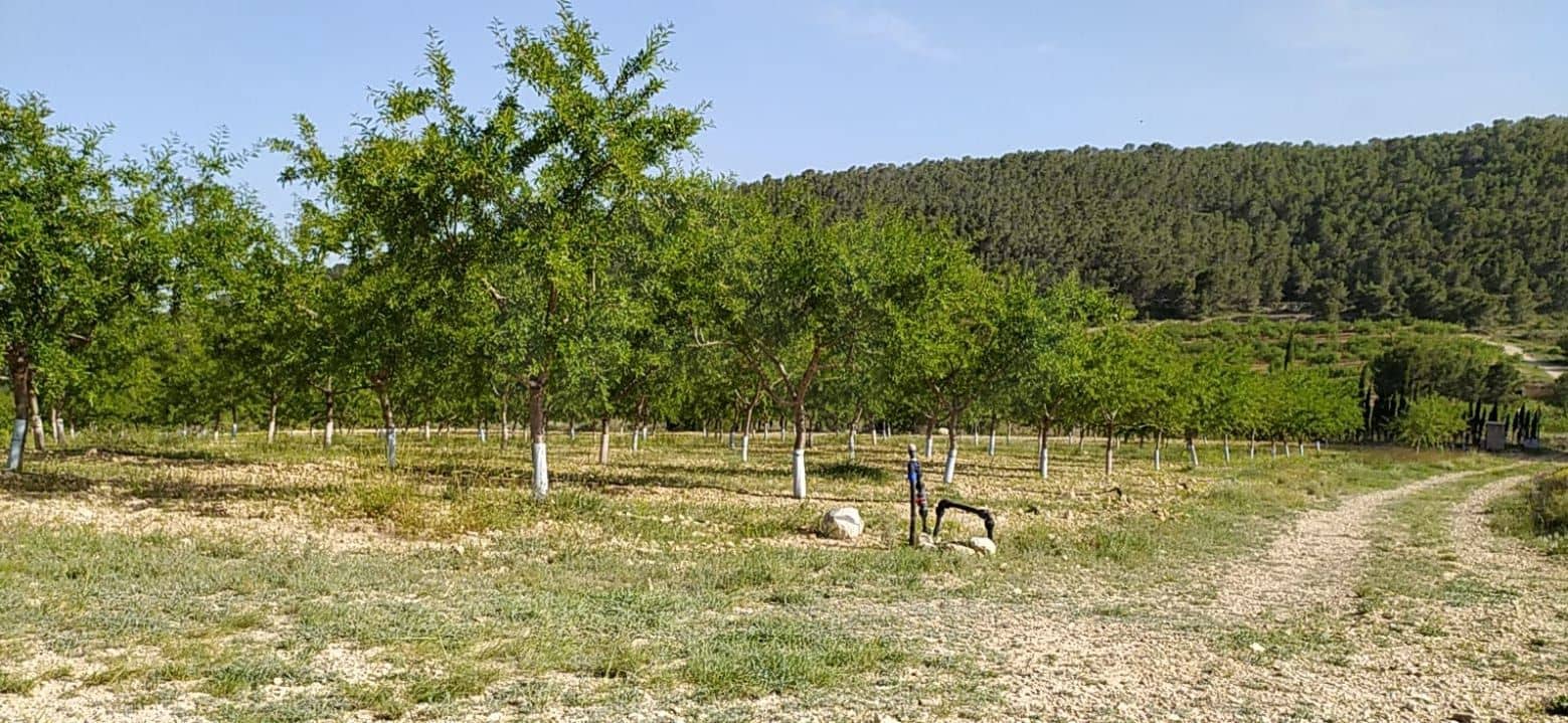 Mark till salu i Alicante stad - 53 000 € (Ref: 9987959)