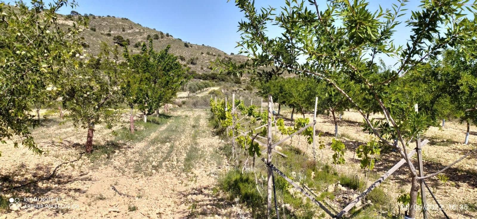 Mark till salu i Alicante stad - 53 000 € (Ref: 9987959)
