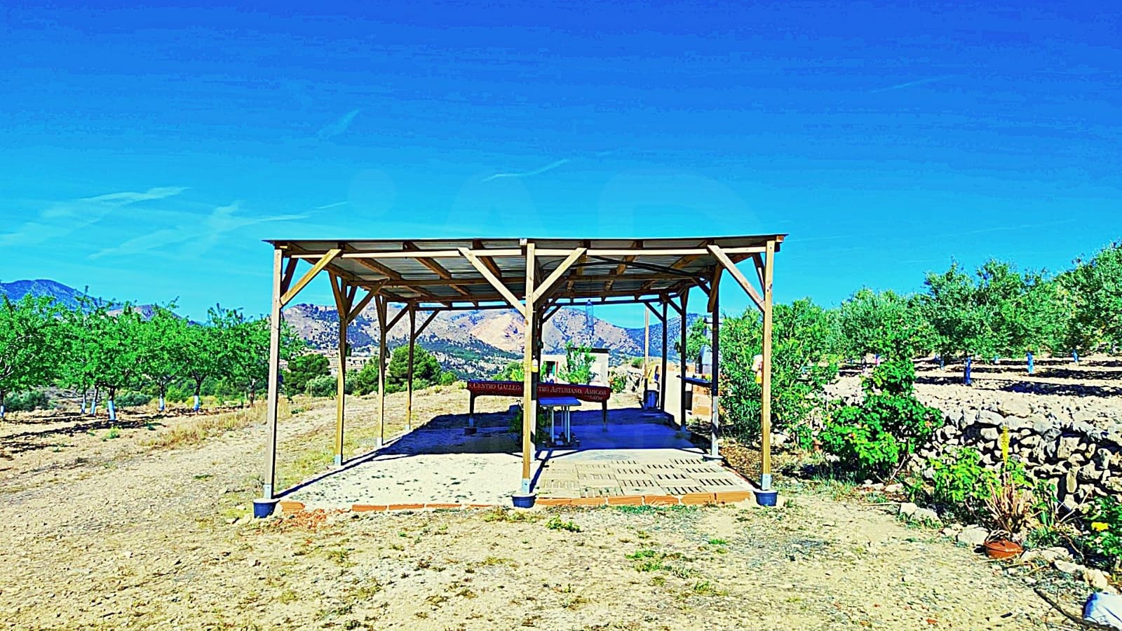 Mark till salu i Alicante stad - 53 000 € (Ref: 9987959)