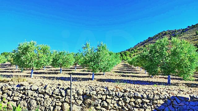Terreno/Finca Rústica en La Romana en venta - 53.000 € (Ref: 9987959)