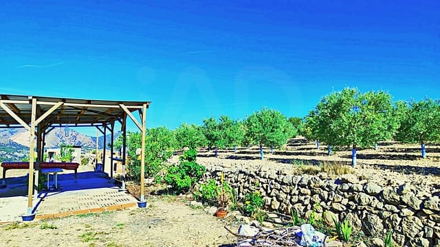 Terreno/Finca Rústica en La Romana en venta - 53.000 € (Ref: 9987959)