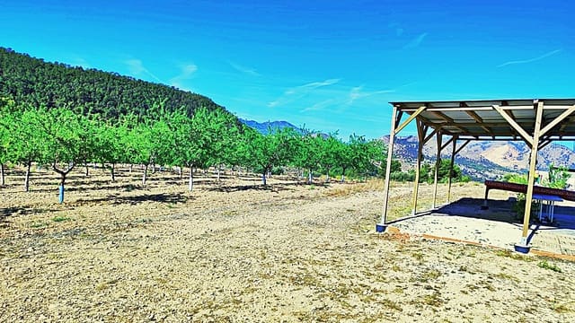 Terreno/Finca Rústica en La Romana en venta - 53.000 € (Ref: 9987959)