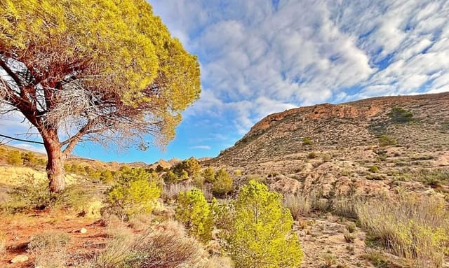 Terreno Non Edificato in vendita in Alicante città - 23.000 € (Rif: 9987962)
