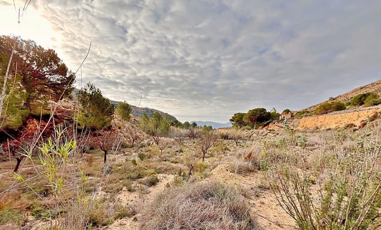 Ubebygd land til salgs i Alicante by - € 23 000 (Ref: 9987962)