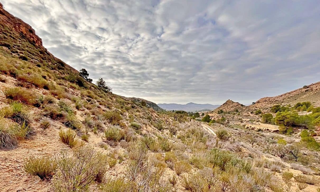 Ubebygd land til salgs i Alicante by - € 23 000 (Ref: 9987962)