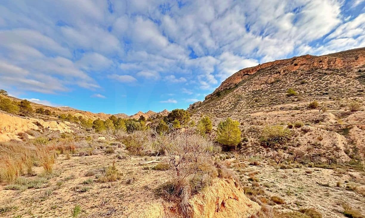 Ubebygd land til salgs i Alicante by - € 23 000 (Ref: 9987962)