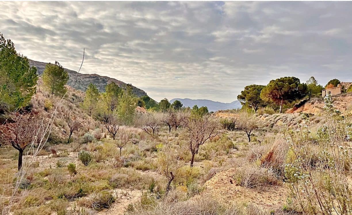 Ubebygd land til salgs i Alicante by - € 23 000 (Ref: 9987962)