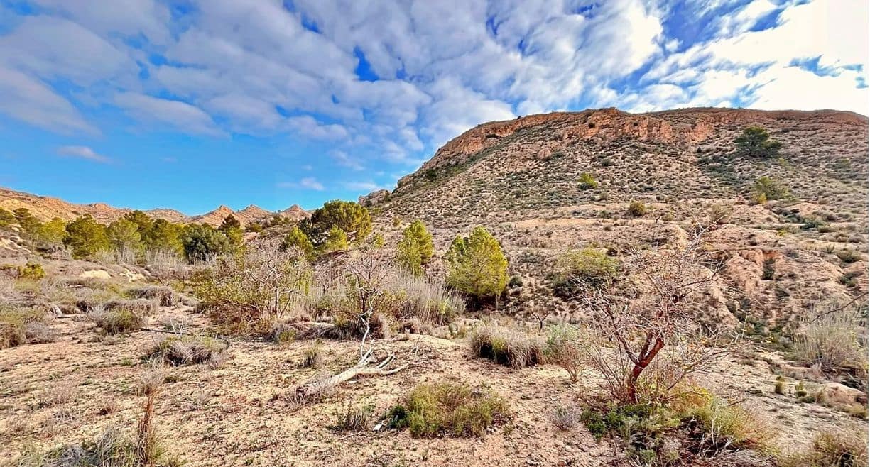 Ubebygd land til salgs i Alicante by - € 23 000 (Ref: 9987962)