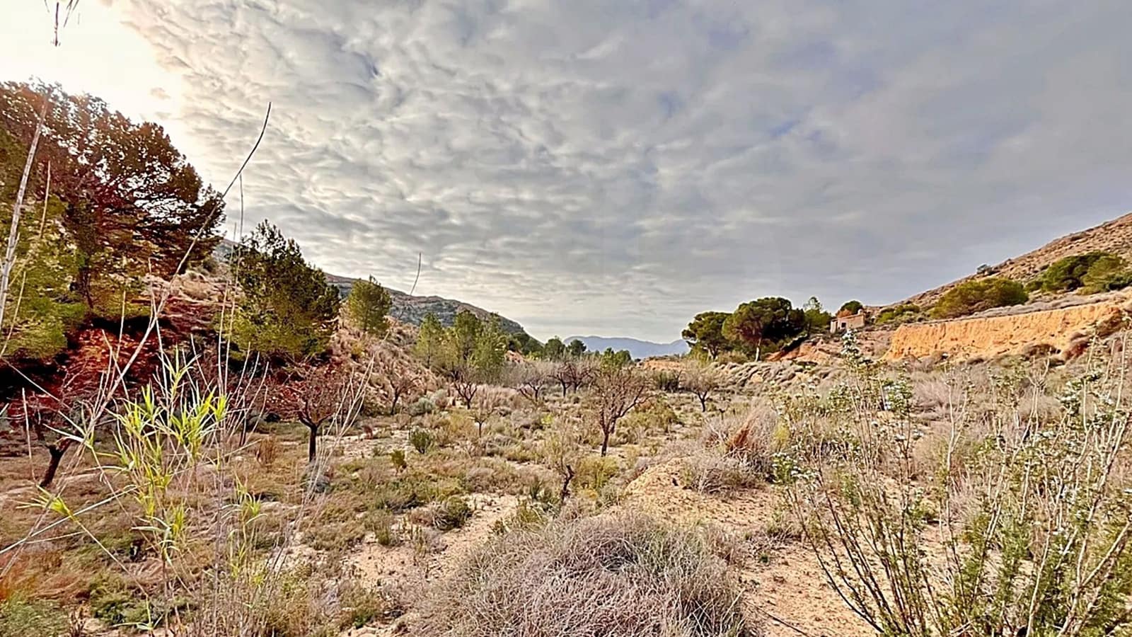 Ubebygd land til salgs i Alicante by - € 23 000 (Ref: 9987962)