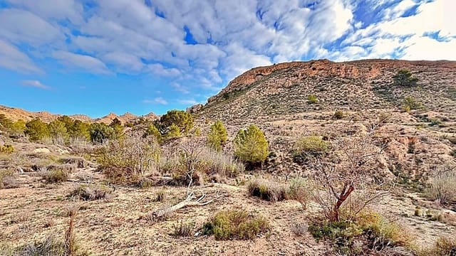 Terreno Non Edificato in vendita in Alicante città - 23.000 € (Rif: 9987962)