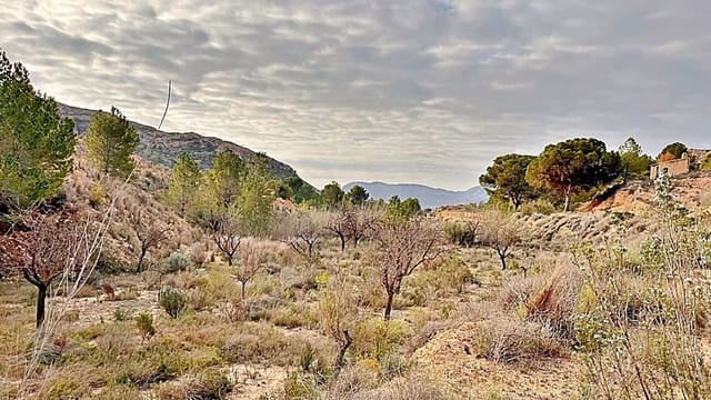 Terreno Non Edificato in vendita in Alicante città - 23.000 € (Rif: 9987962)