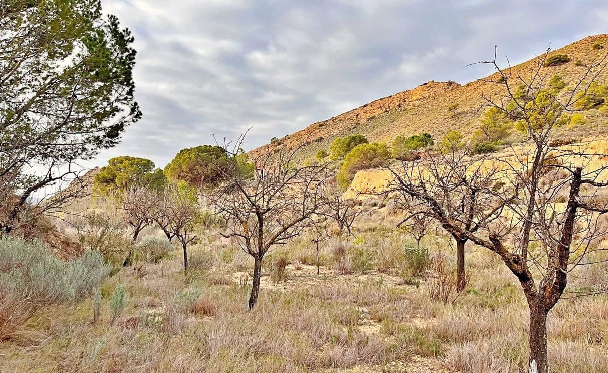 Ubebygd land til salgs i Alicante by - € 23 000 (Ref: 9987962)