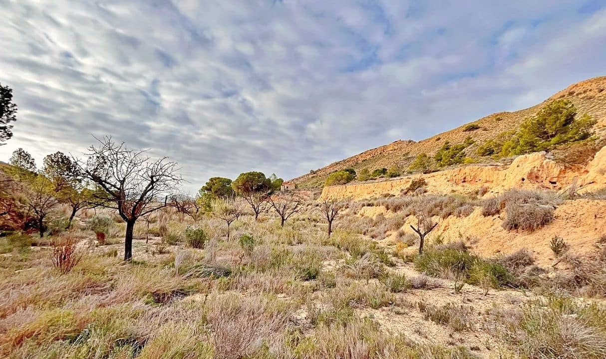 Ubebygd land til salgs i Alicante by - € 23 000 (Ref: 9987962)
