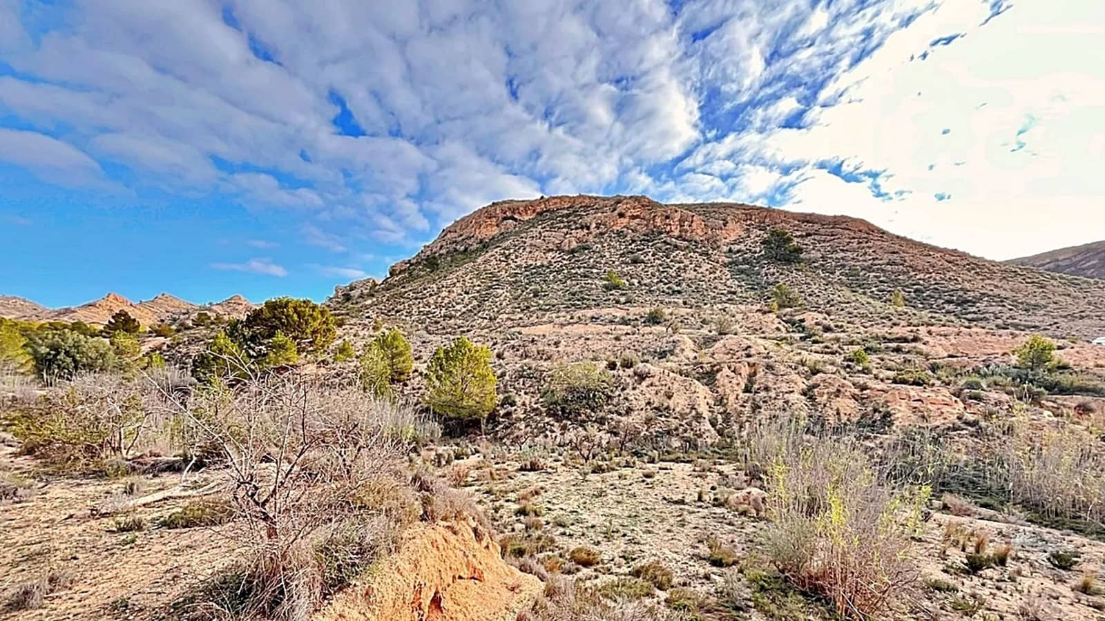 Ubebygd land til salgs i Alicante by - € 23 000 (Ref: 9987962)
