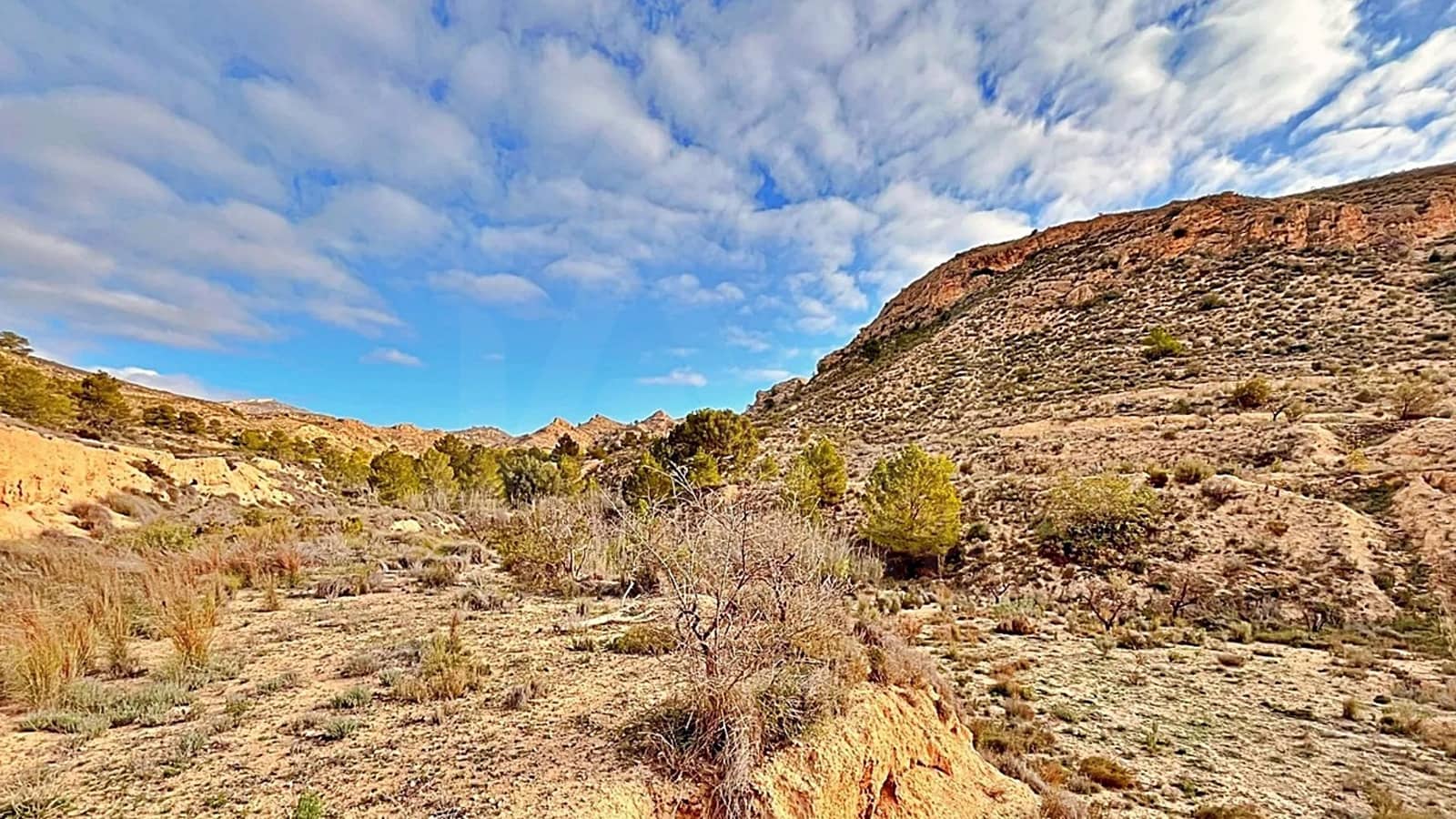 Ubebygd land til salgs i Alicante by - € 23 000 (Ref: 9987962)