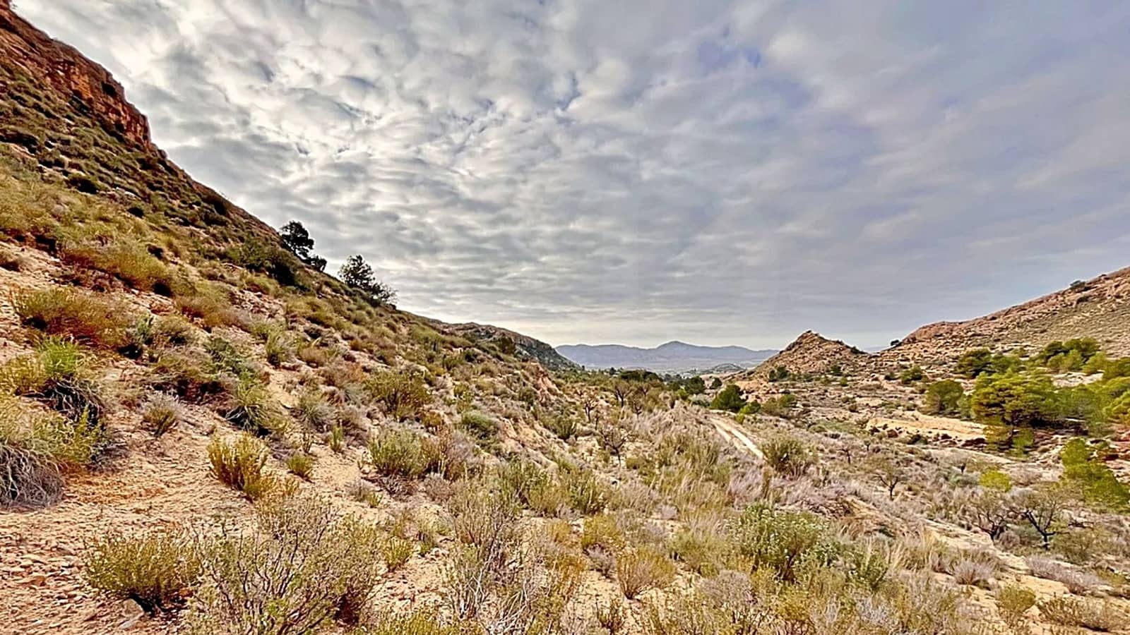 Ubebygd land til salgs i Alicante by - € 23 000 (Ref: 9987962)