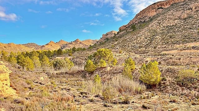 Terreno Non Edificato in vendita in Alicante città - 23.000 € (Rif: 9987962)