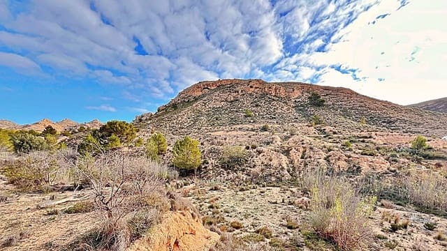 Terreno Non Edificato in vendita in Alicante città - 23.000 € (Rif: 9987962)