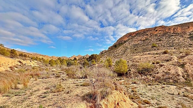 Terreno Non Edificato in vendita in Alicante città - 23.000 € (Rif: 9987962)