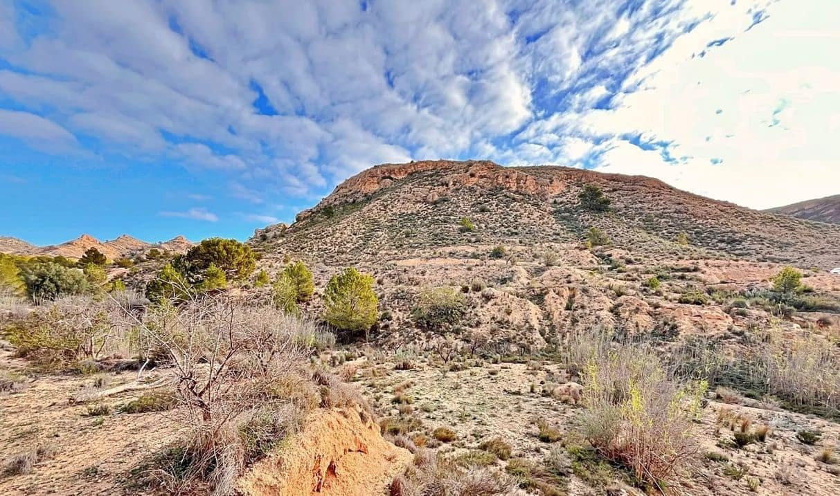 Ubebygd land til salgs i Alicante by - € 23 000 (Ref: 9987962)