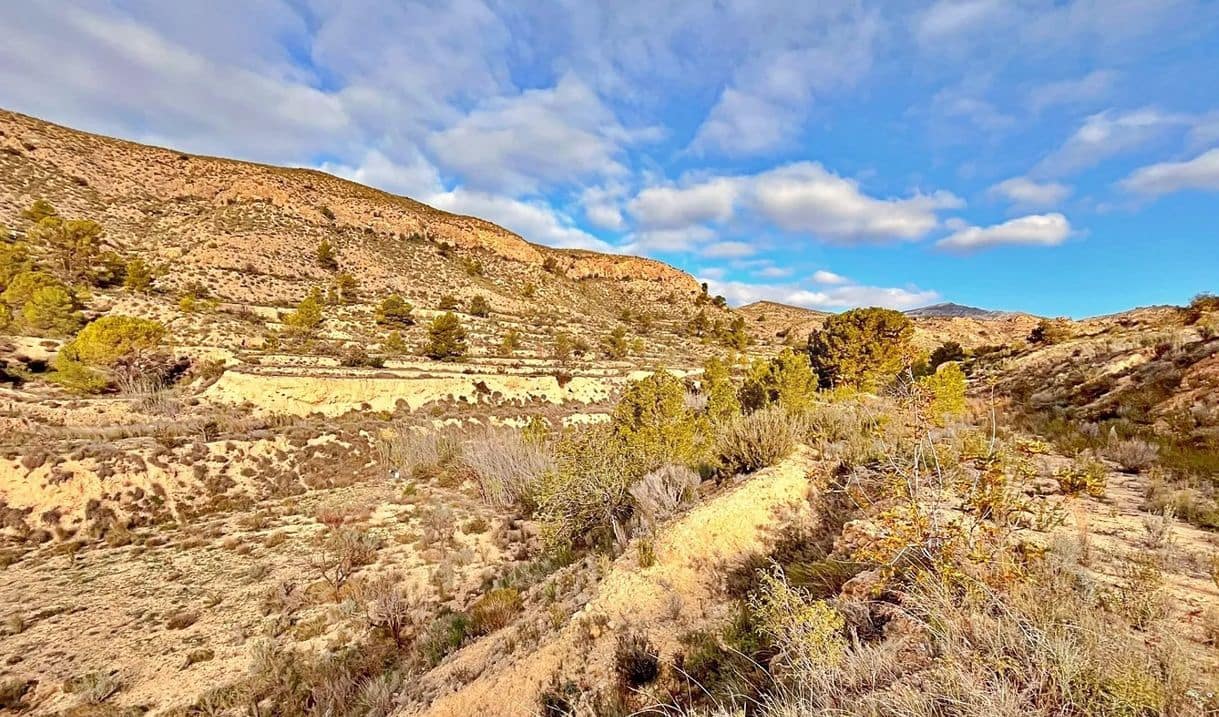Ubebygd land til salgs i Alicante by - € 23 000 (Ref: 9987962)
