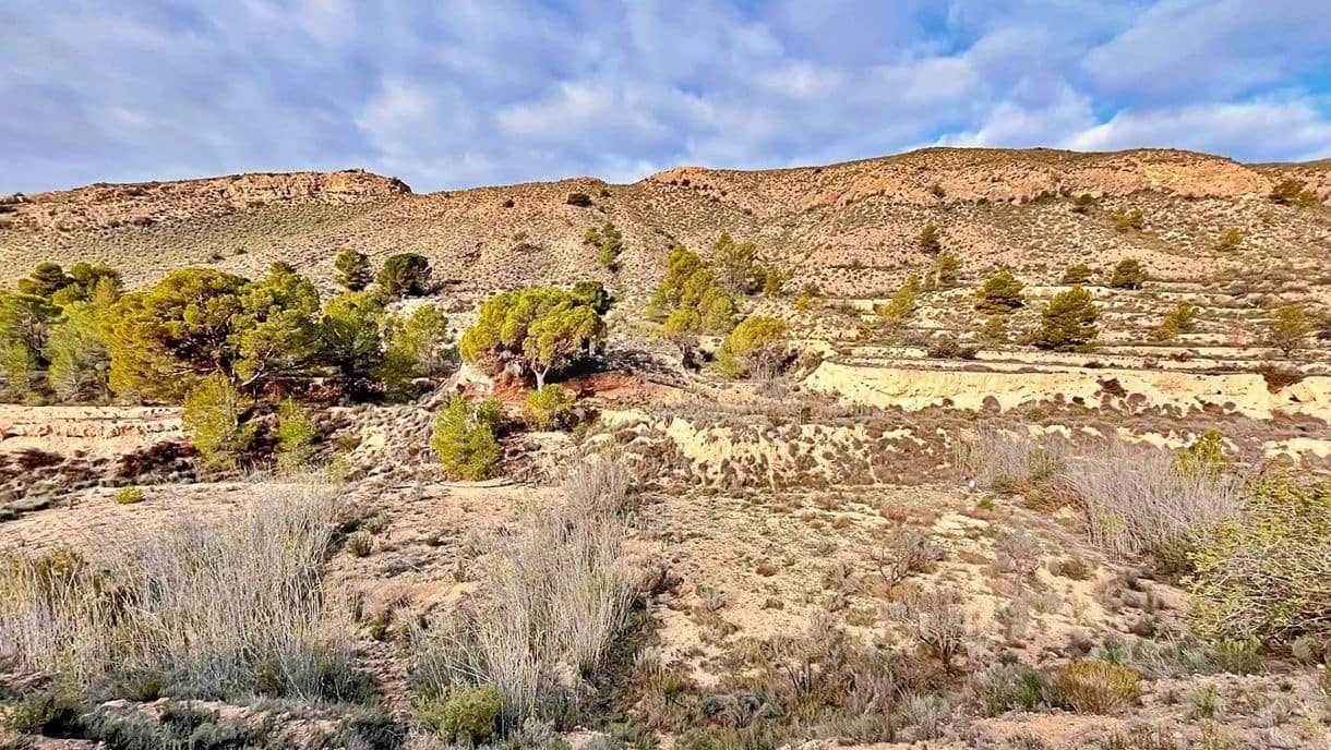 Ubebygd land til salgs i Alicante by - € 23 000 (Ref: 9987962)