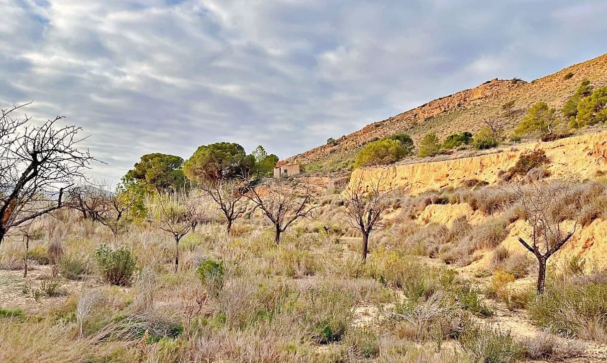 Ubebygd land til salgs i Alicante by - € 23 000 (Ref: 9987962)