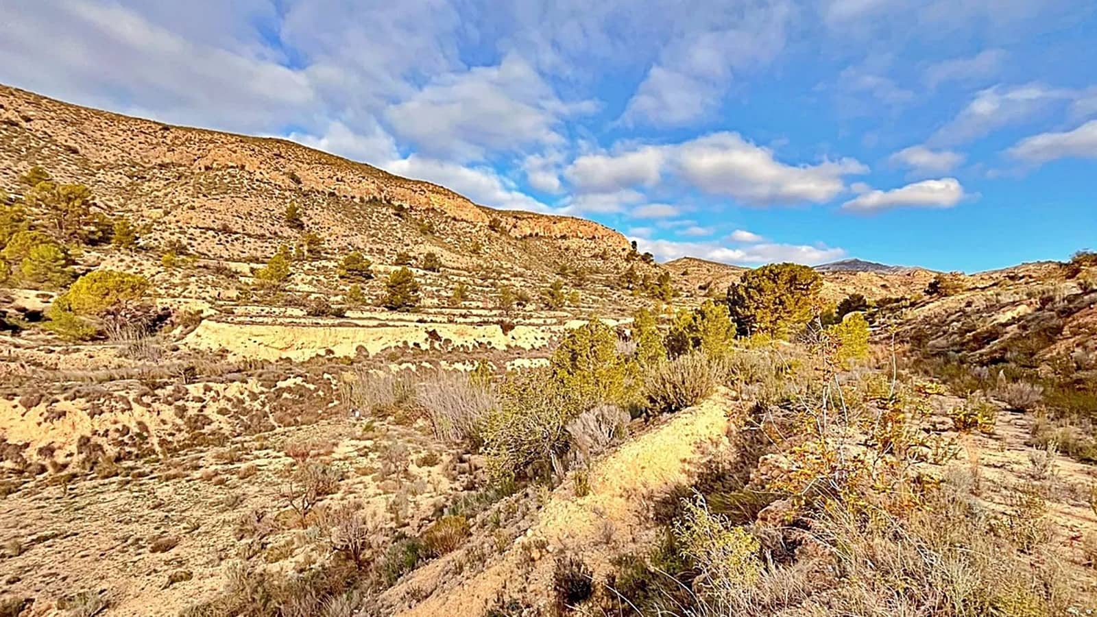 Ubebygd land til salgs i Alicante by - € 23 000 (Ref: 9987962)