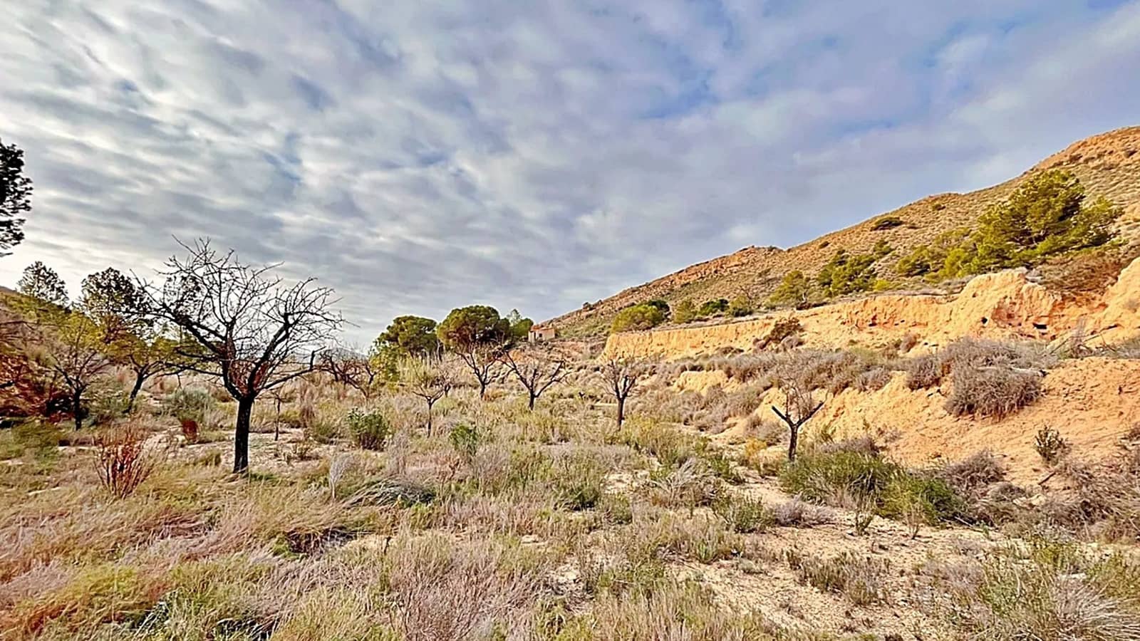 Ubebygd land til salgs i Alicante by - € 23 000 (Ref: 9987962)