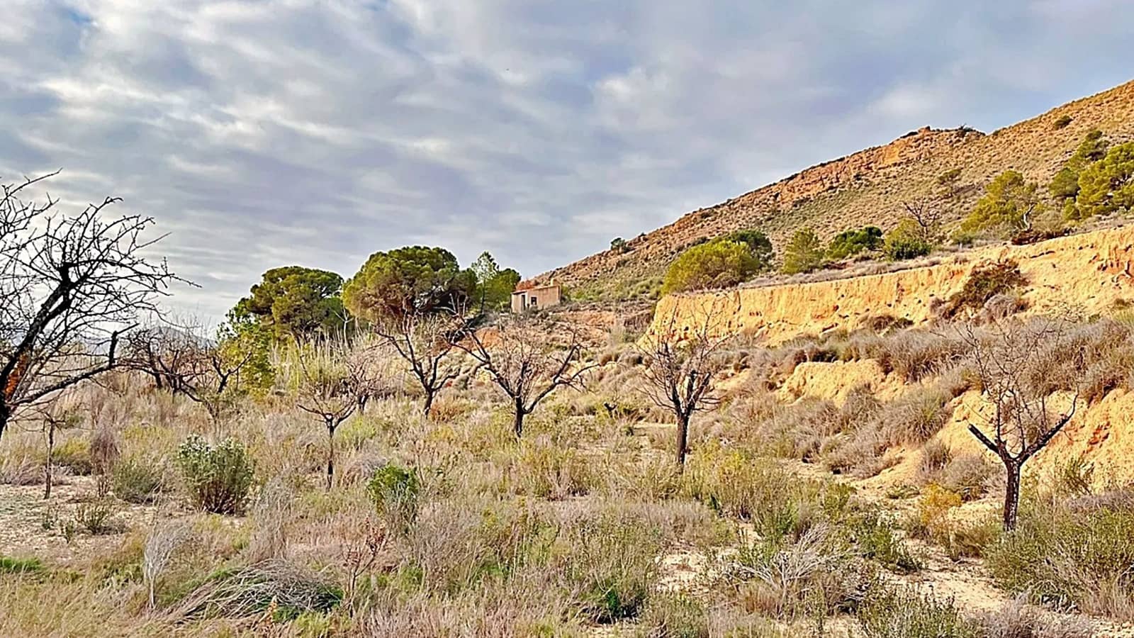 Ubebygd land til salgs i Alicante by - € 23 000 (Ref: 9987962)