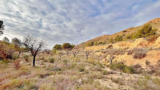 Terreno Non Edificato in vendita in Alicante città - 23.000 € (Rif: 9987962)