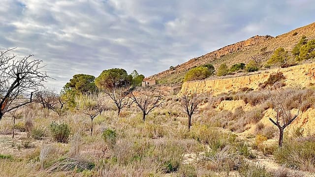 Terreno Non Edificato in vendita in Alicante città - 23.000 € (Rif: 9987962)