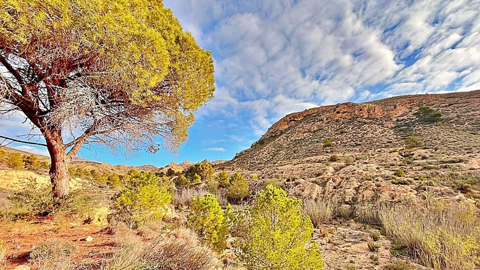 Ubebygd land til salgs i Alicante by - € 23 000 (Ref: 9987962)