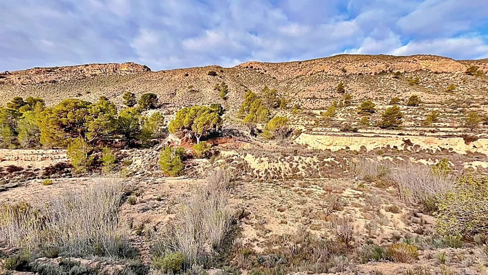 Ubebygd land til salgs i Alicante by - € 23 000 (Ref: 9987962)