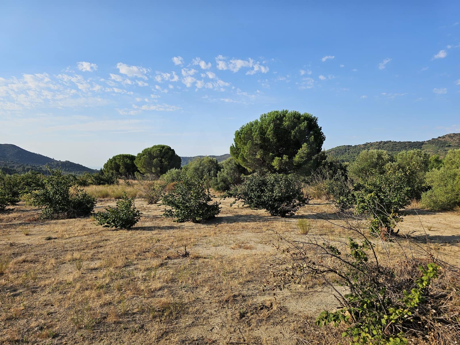 Terreno Non Edificato in vendita in Tarragona citta - 299.000 € (Rif: 9987971)