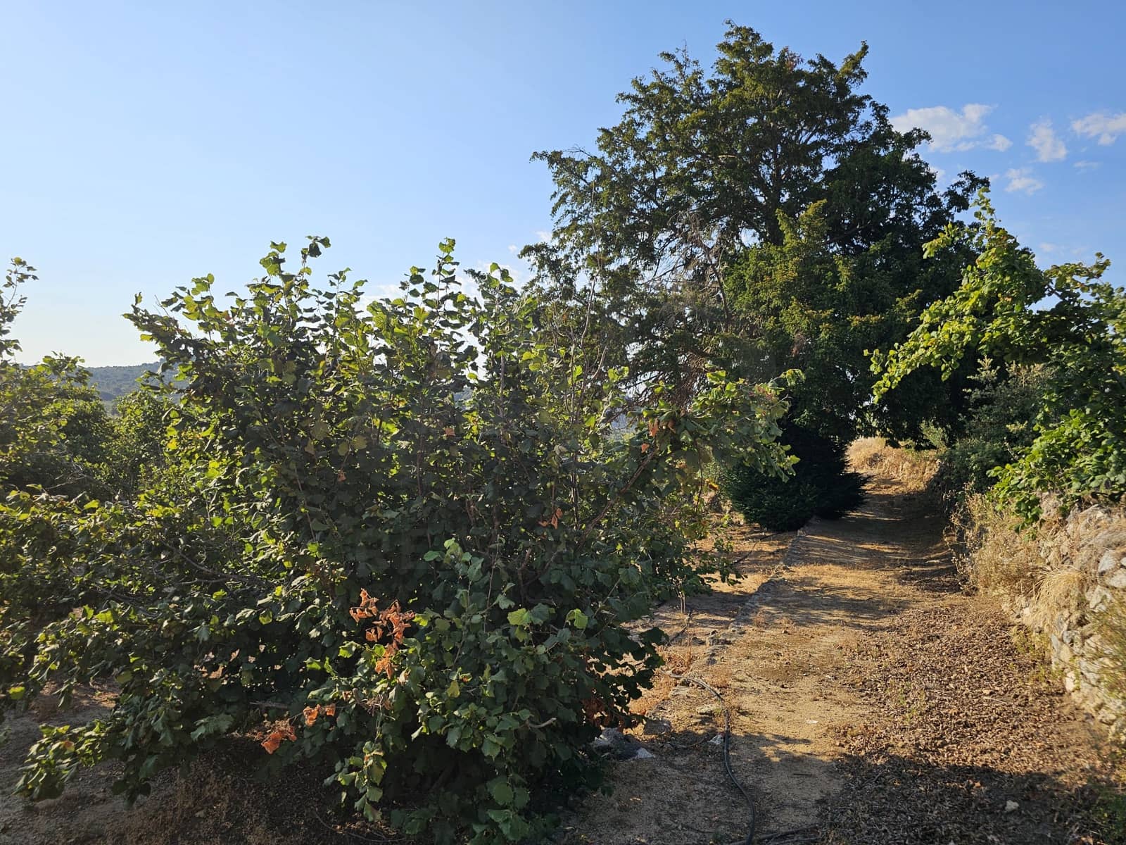 Terreno Non Edificato in vendita in Tarragona citta - 299.000 € (Rif: 9987971)