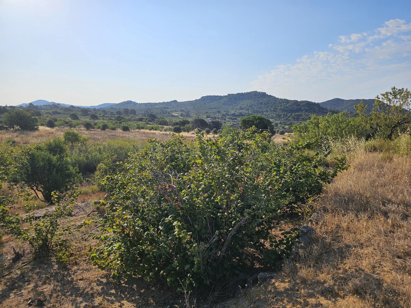 Terreno Non Edificato in vendita in Tarragona citta - 299.000 € (Rif: 9987971)