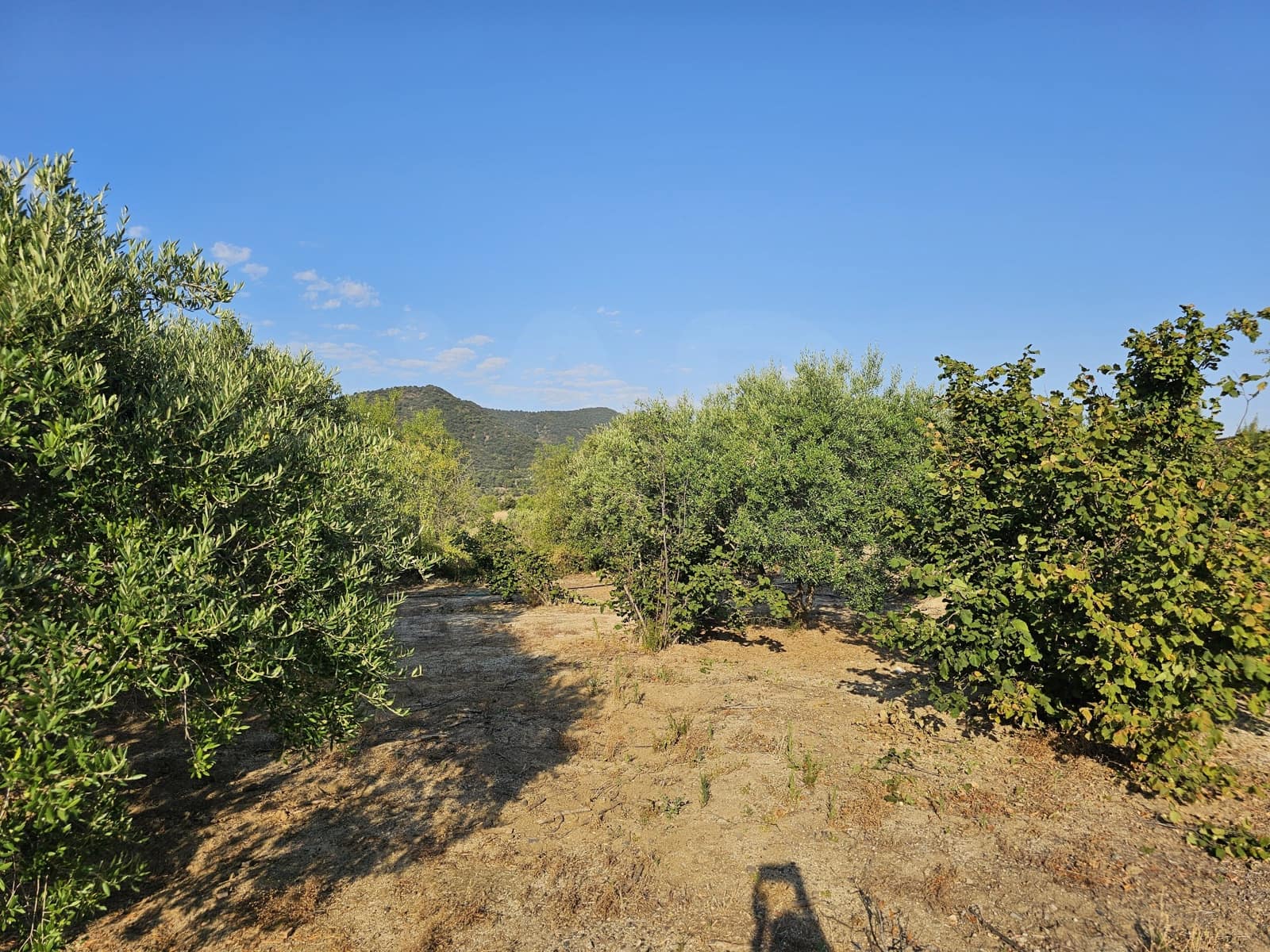 Terreno Non Edificato in vendita in Tarragona citta - 299.000 € (Rif: 9987971)