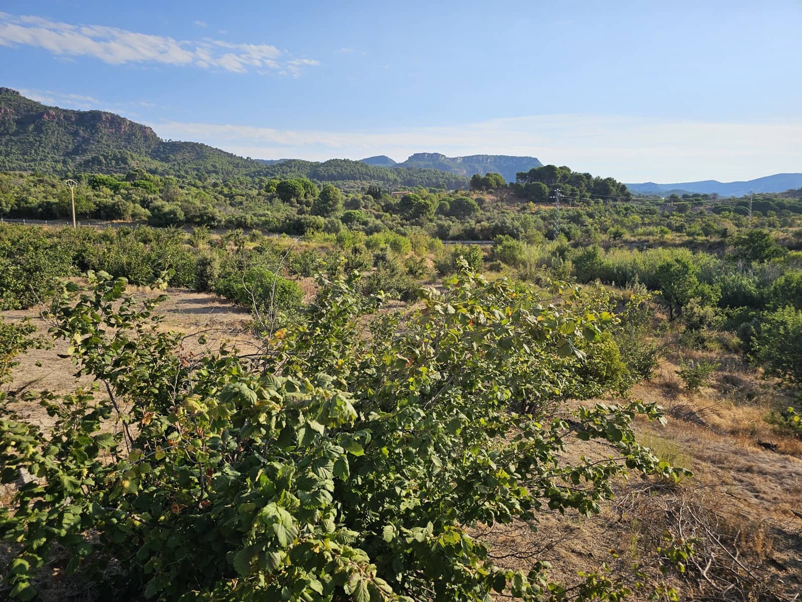 Terreno Non Edificato in vendita in Tarragona citta - 299.000 € (Rif: 9987971)